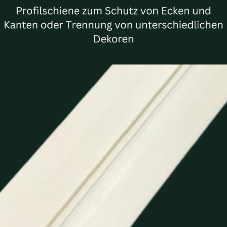 HoBus Profilschiene 2,60 m 11 Profilschiene HoBus